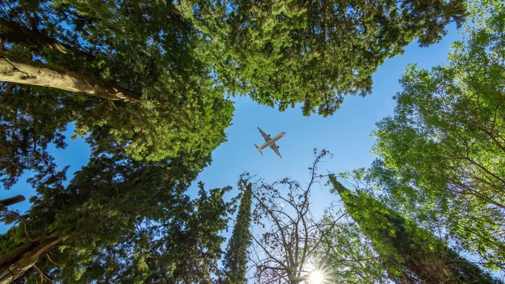 Aviation’s Green Leap: Sustainable Fuel Production to Double Despite Cost Worries Aviation's green leap: sustainable fuel production to double despite cost