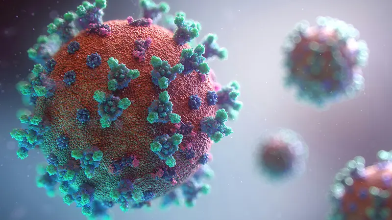 Cruise Passengers on Alert for Norovirus Risk After Outbreaks Cruise passengers on alert for norovirus risk after outbreaks