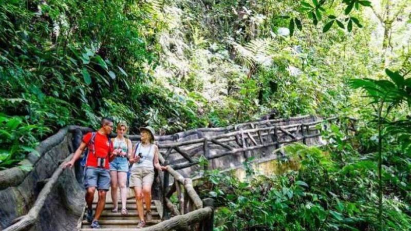 Travel Trends 2025: Insights from Leading Tour Operators Travel trends 2025: insights from leading tour operators