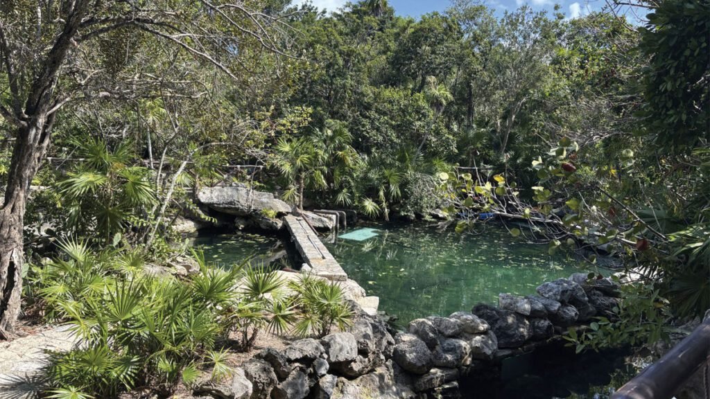 Xcaret Park: A Nature Lover’s Haven in the Heart of the Mexican Jungle Xcaret park: a nature lover's haven in the heart of