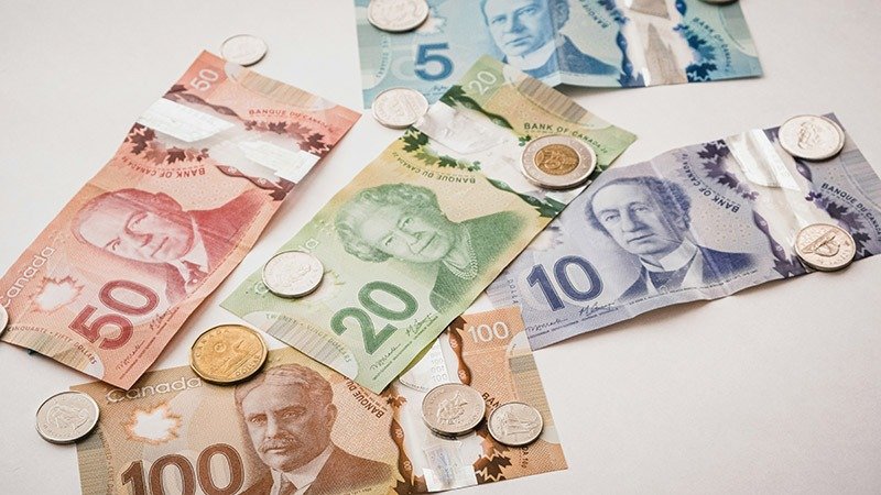 Canadians Concerned About Costs: Innovative Solutions from Advisors Canadians concerned about costs: innovative solutions from advisors