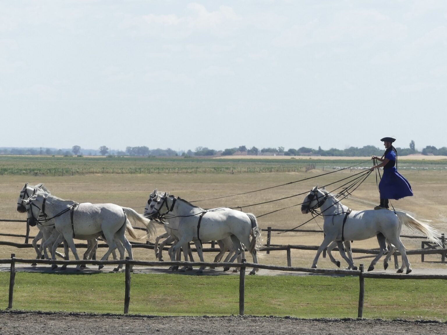 Discover eastern europe: a scenic journey along the lower danube