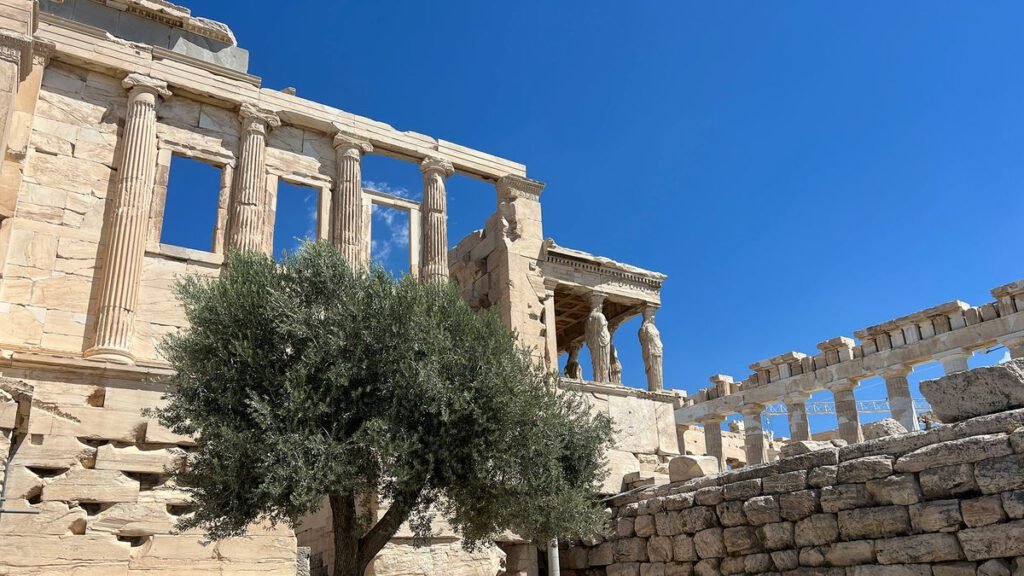 Explore exciting new travel paths with ef ultimate break's latest