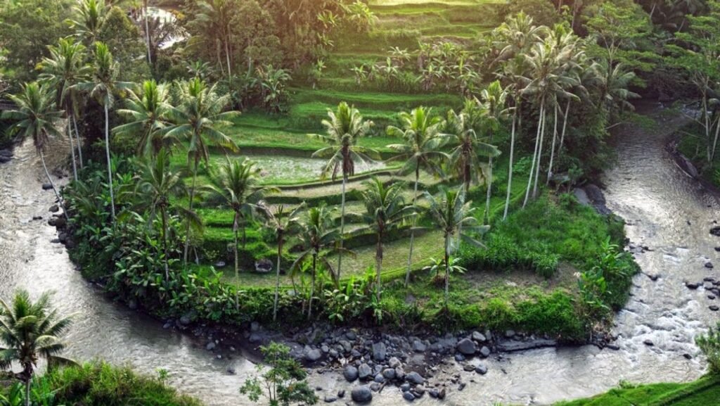 Kimpton Brand Sets Sail for Bali Premiere in Style Kimpton brand sets sail for bali premiere in style