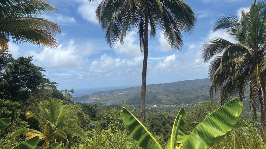 Revitalizing St. Lucia: The Impact of Community Tourism Revitalizing st. lucia: the impact of community tourism