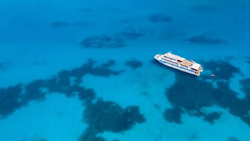 Canadian Travelers Turn Away from US: How Cruise Lines Are Affected Canadian travelers turn away from us: how cruise lines are
