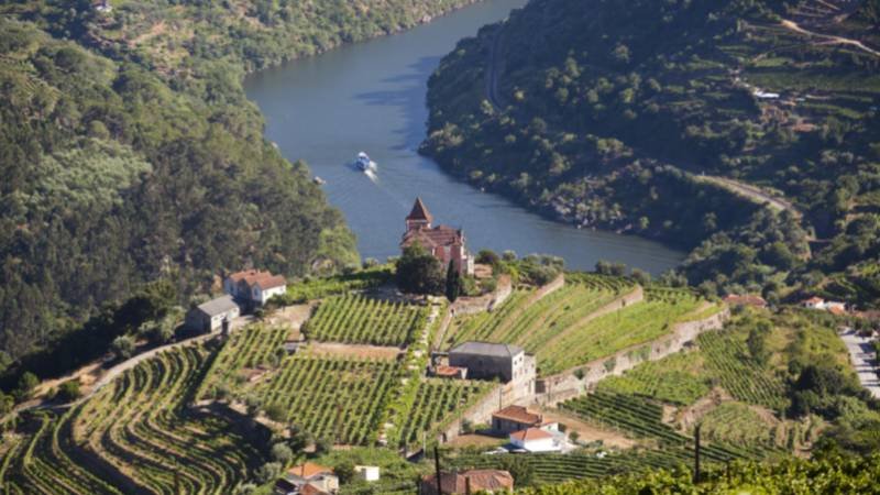 Discover Collette’s Exciting 2025 Tours and Showcase Events