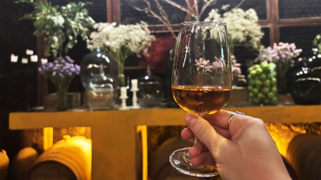 Rediscovering Port Wine: A Travel Weekly Adventure Rediscovering port wine: a travel weekly adventure