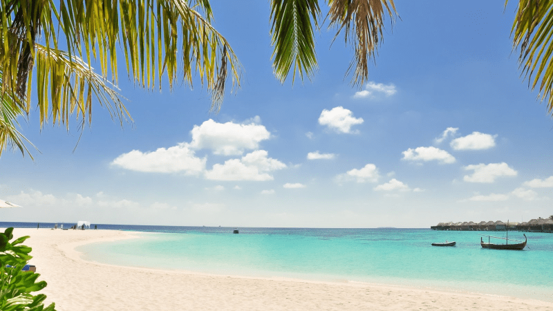 Discover the Wonders of Jamaica