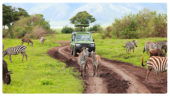 Exploring Western Canada: A Gateway to Africa & Middle East Knowledge Exchange