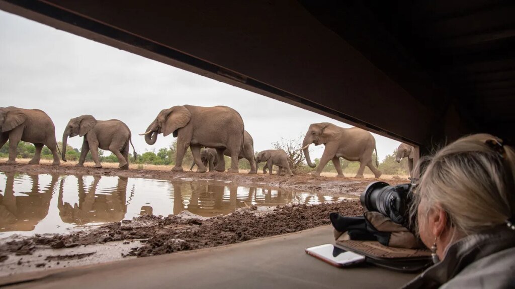Exploring Botswana’s Majestic Giants by Bike