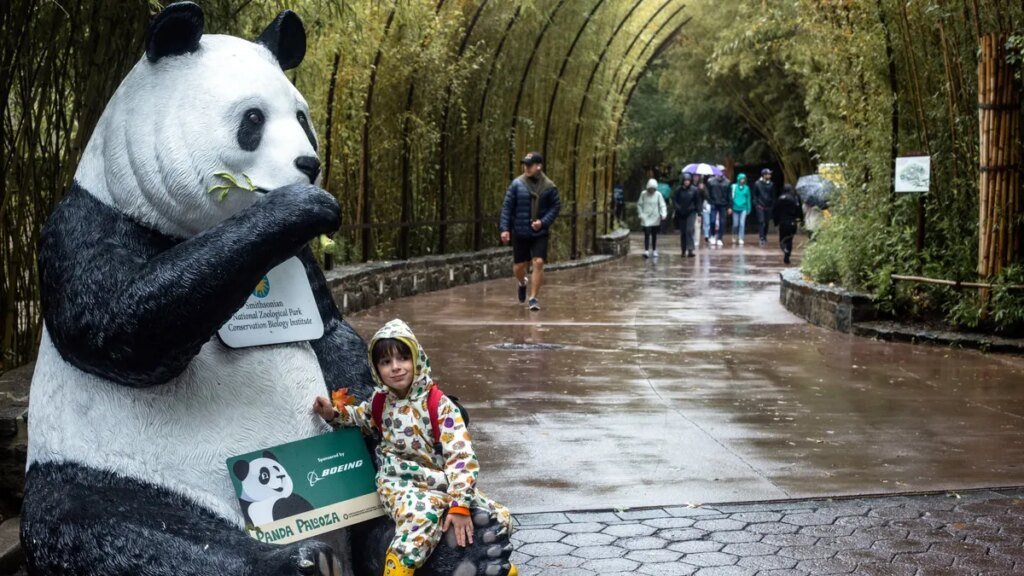 Smithsonian Museums and National Zoo Close Doors During Government Shutdown