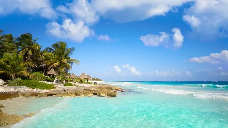 WestJet Vacations Unveils Exclusive Facebook Group for Travel Advisors