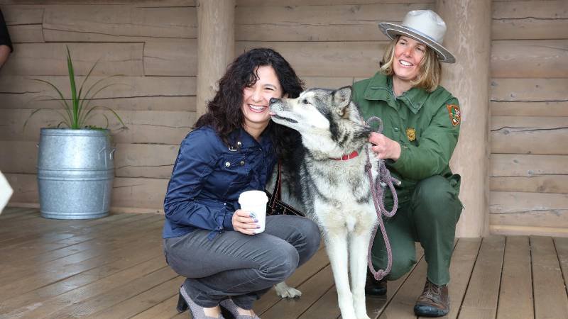 Holland America Unveils $70M Investment in Denali for Unforgettable Alaskan Adventures