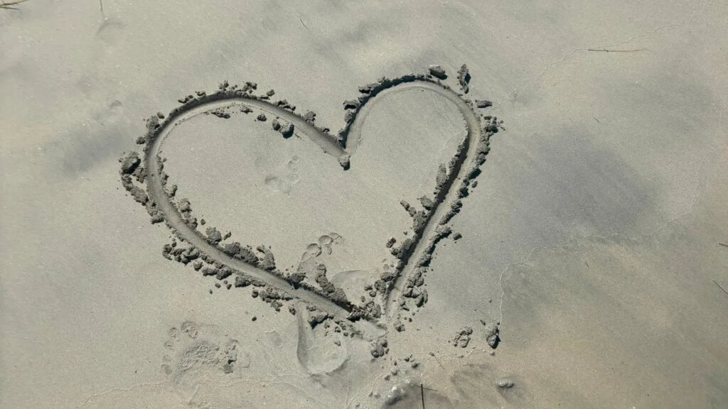 Travel Advisors Tackle the Aftermath of Hurricane Melissa