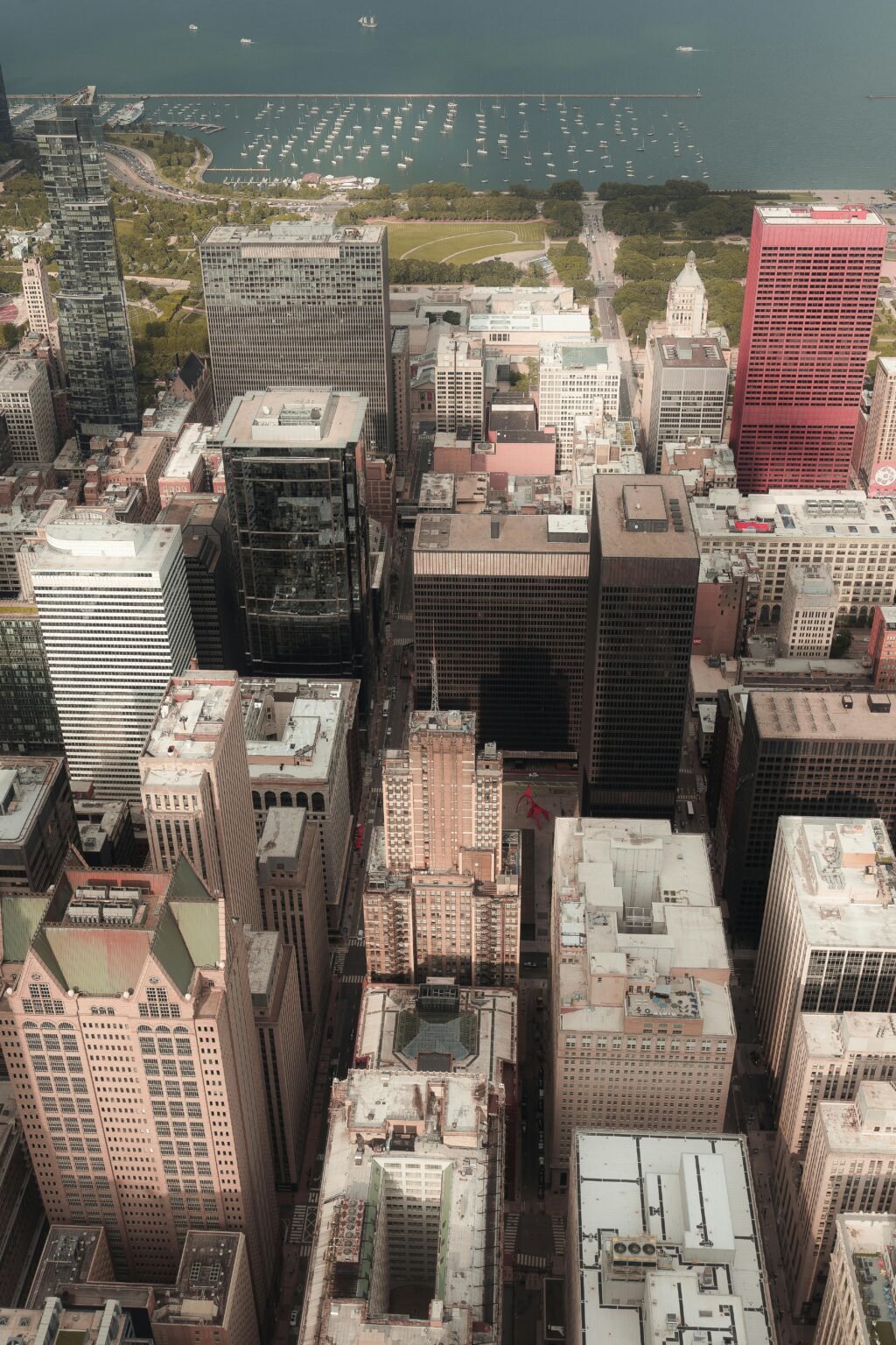 Hilton Chicago Elevates Alison Wallace to Complex Area Director in Strategic Leadership Move