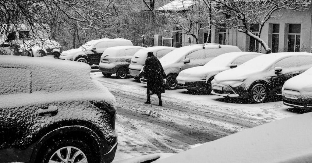 Major Snowstorm Creates Departure Chaos at Toronto Pearson Airport