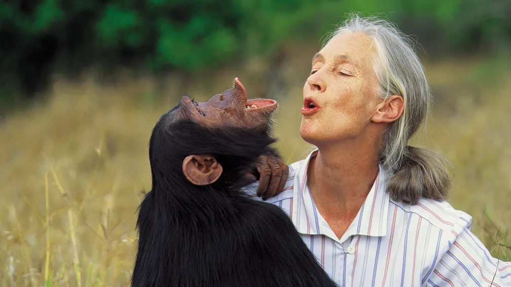 G Adventures Extends Jane Goodall Partnership for Wildlife Conservation Travel