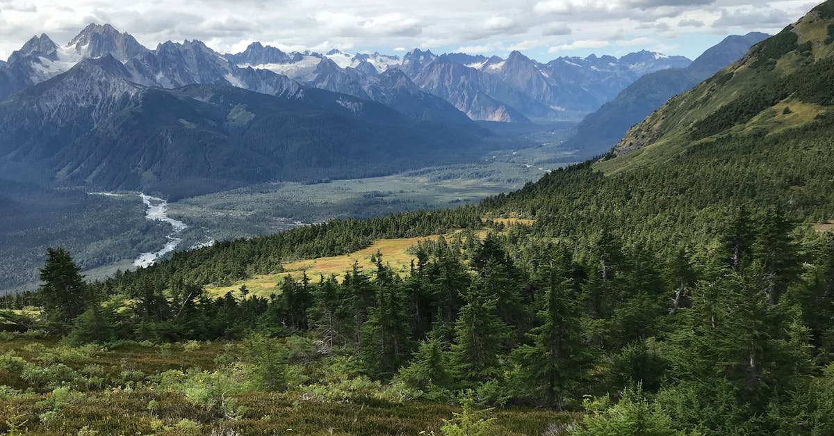 alaska landscape