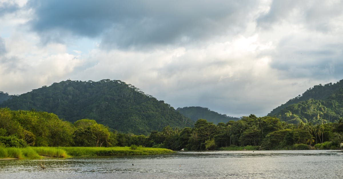 Scenic river journey on the AmaMelodia