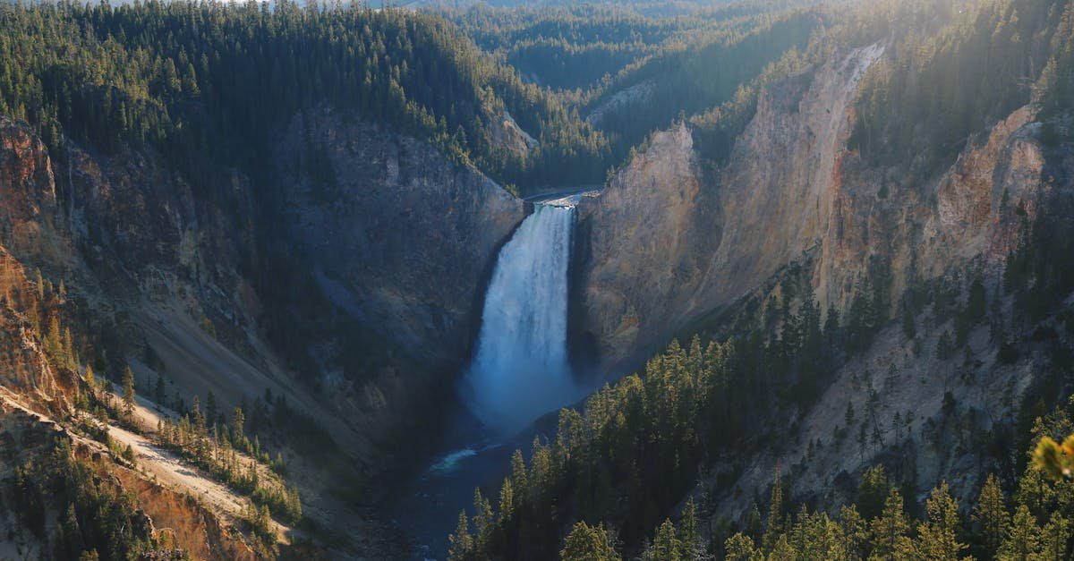 yellowstone national park