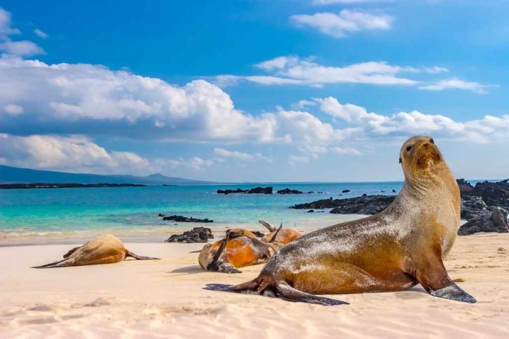 Air Canada Vacations Ecuador Tours