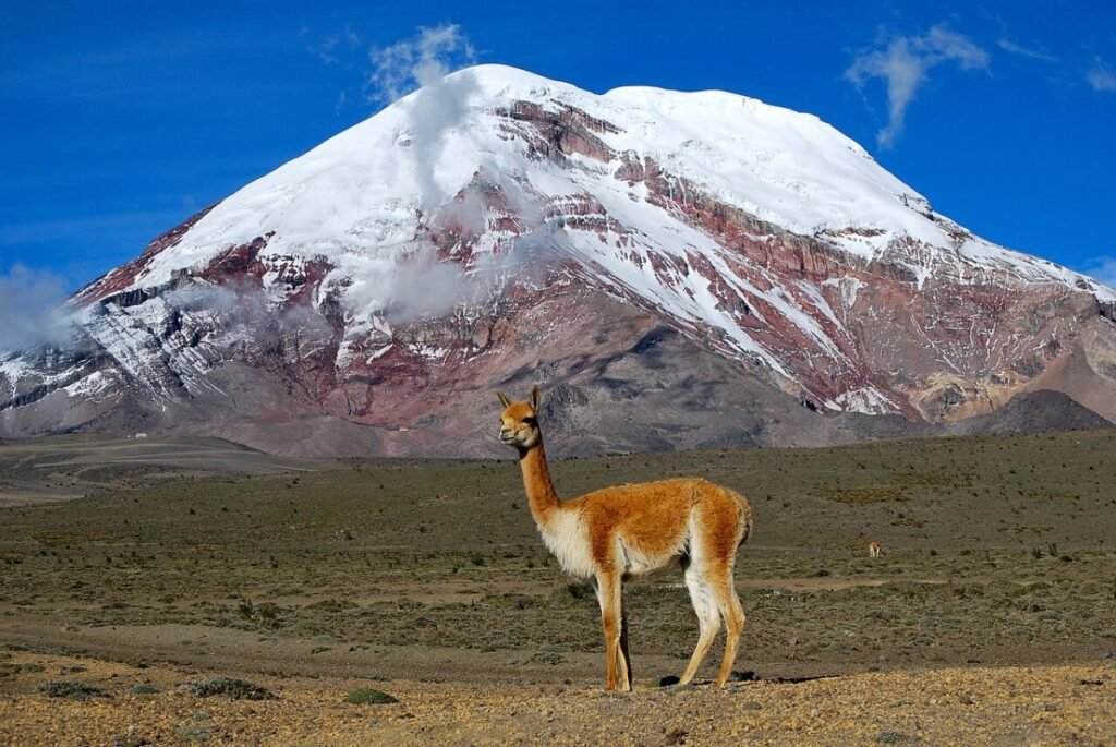 Air Canada Vacations Launches Comprehensive Ecuador Tour Program for December 2026